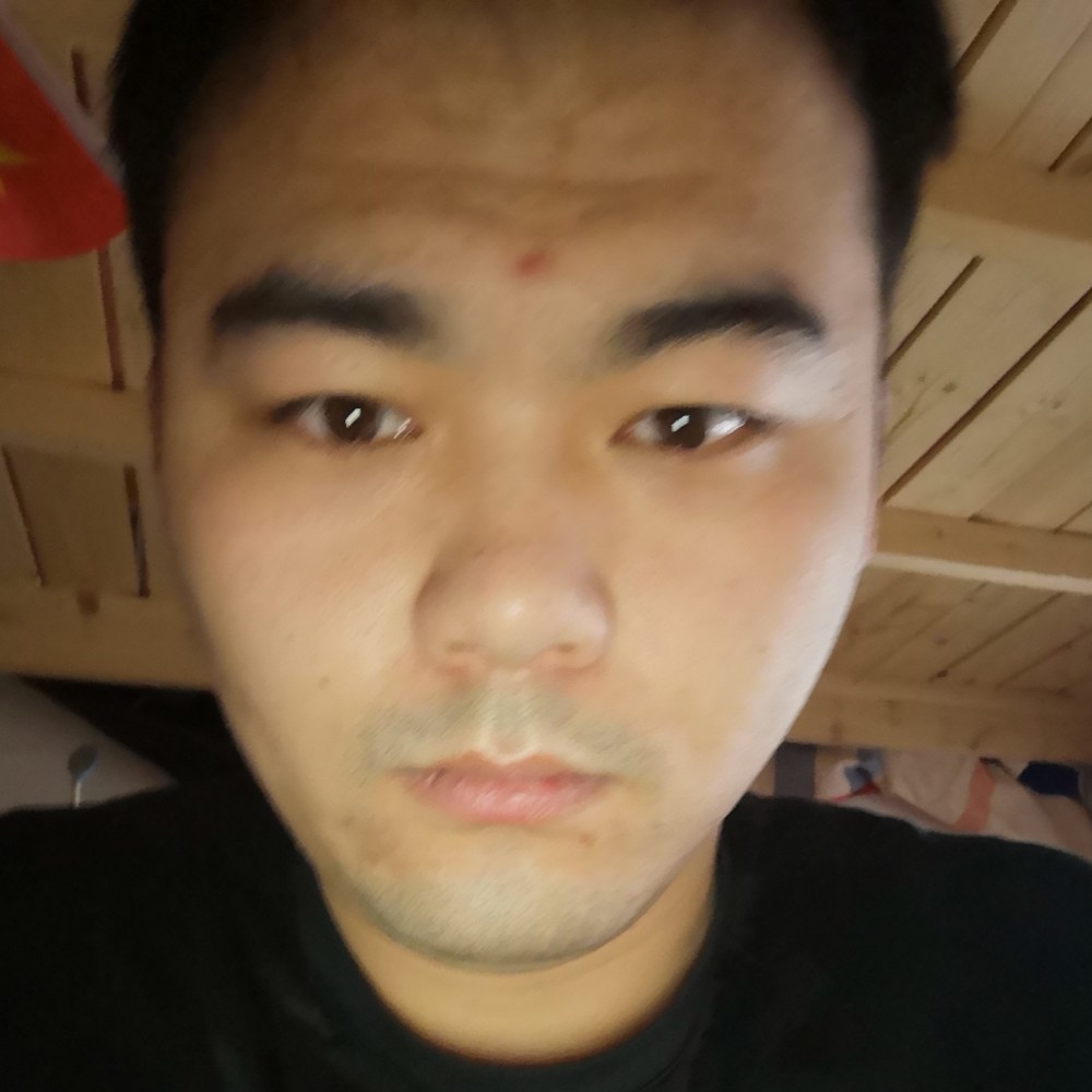 隐形扯猎豹的照片