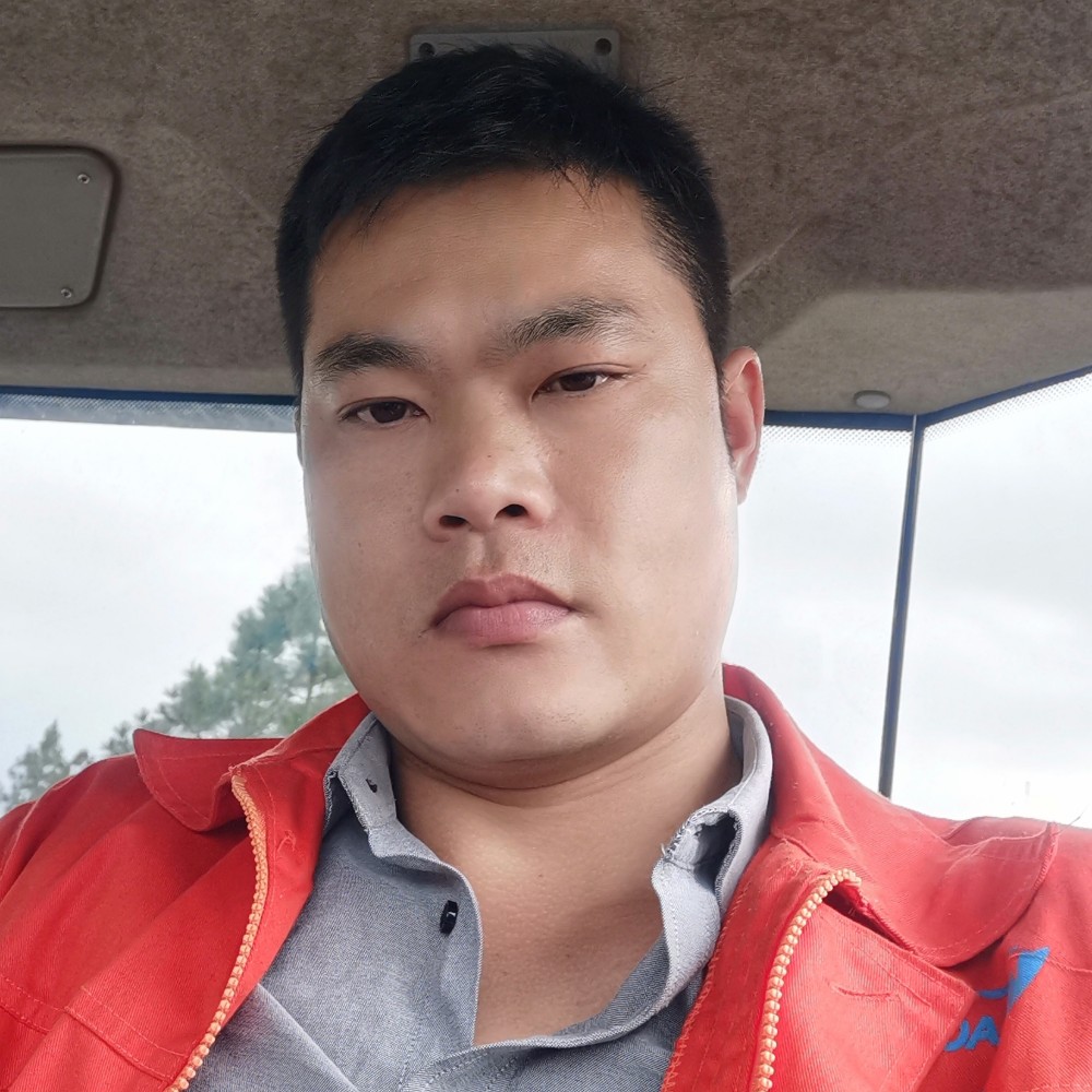 温暖与灰狼的照片