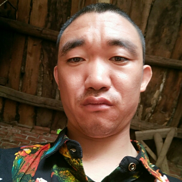 人生的美丽的照片