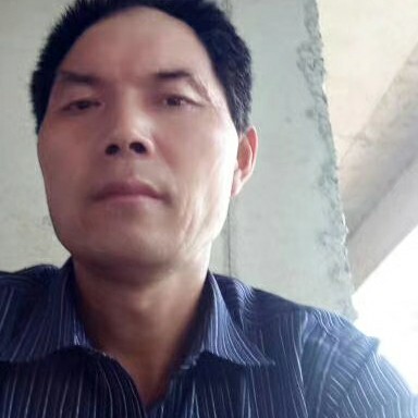 绿草用拼搏的照片