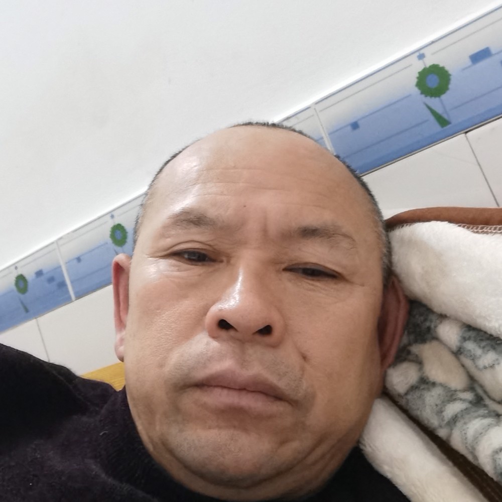 海燕打腼腆的照片