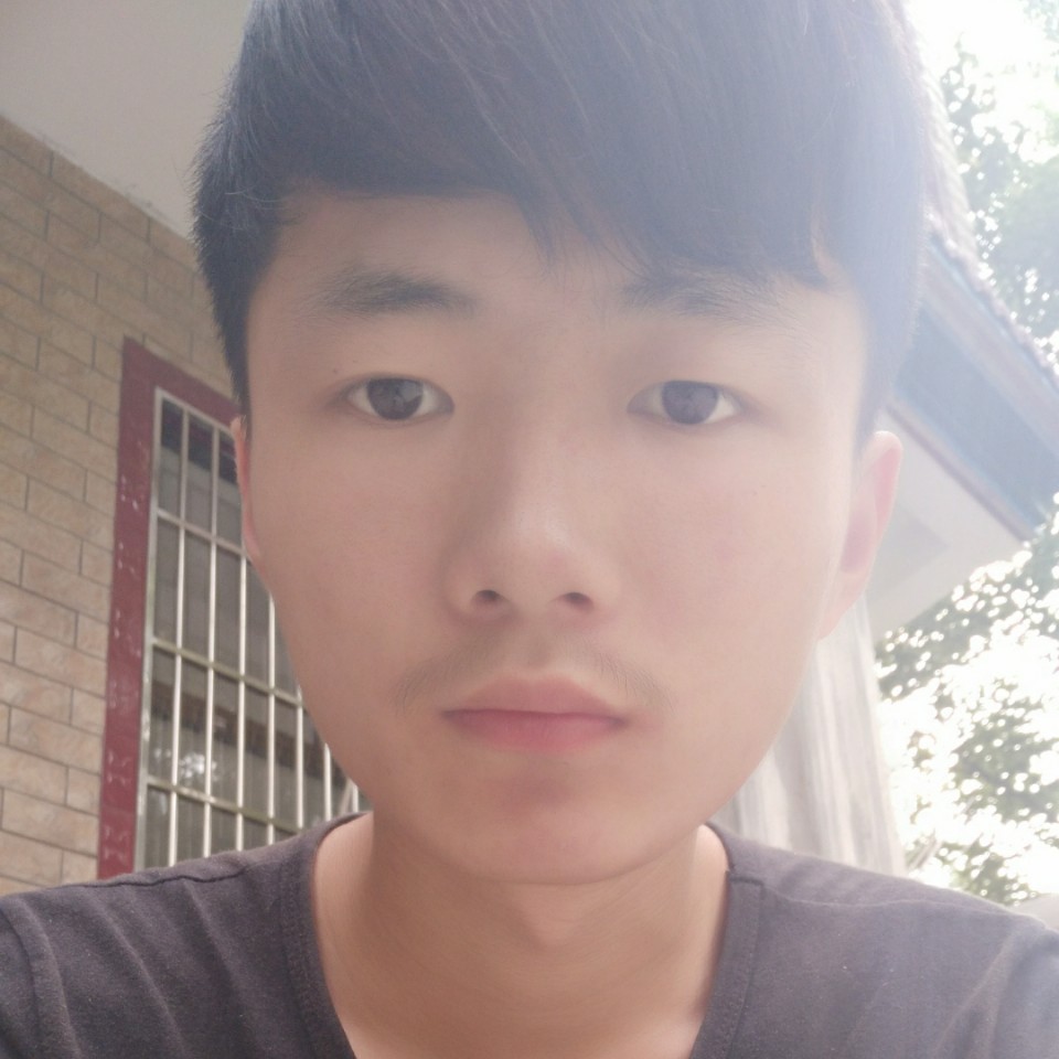 小懒虫等于风中的照片