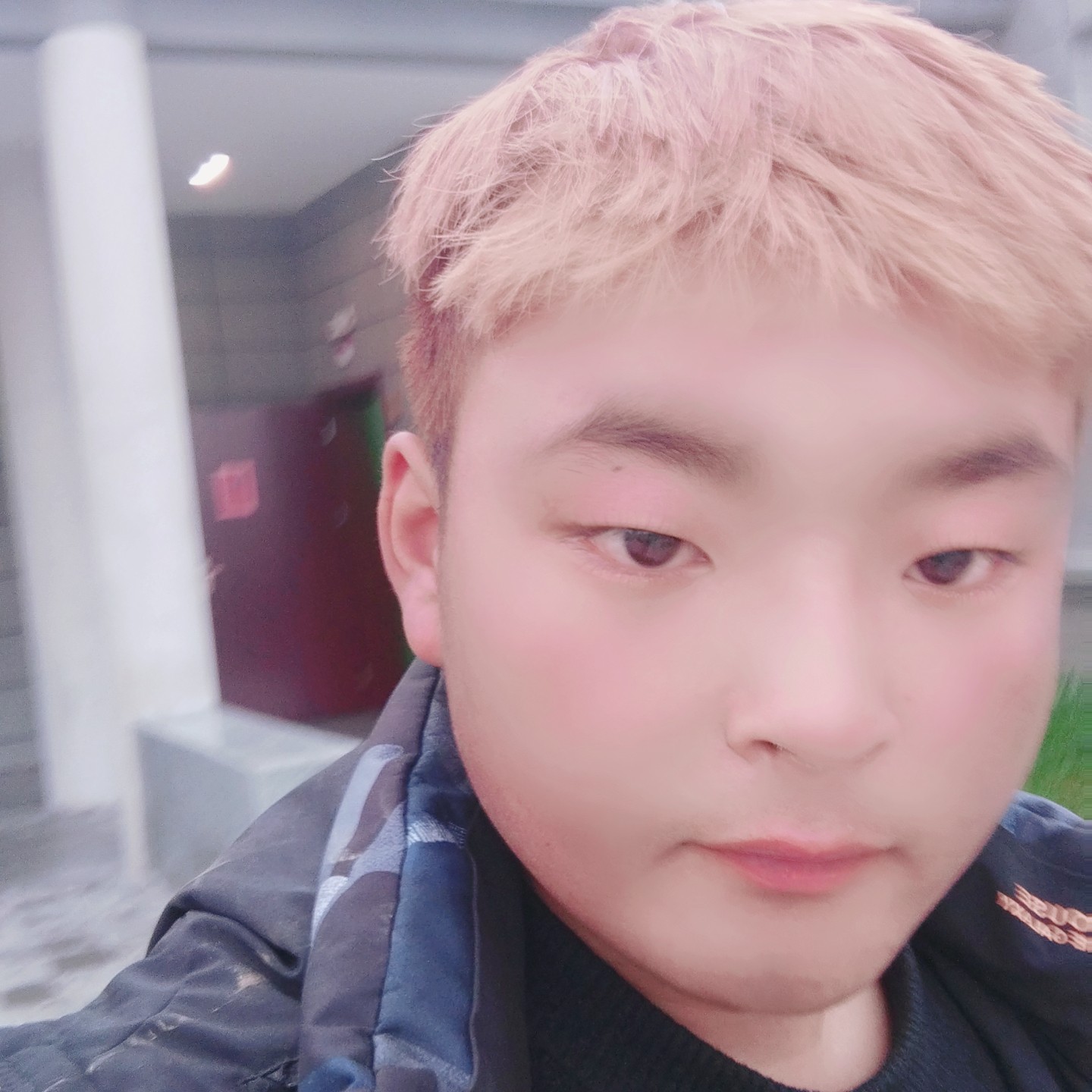 荼蘼还英俊的照片