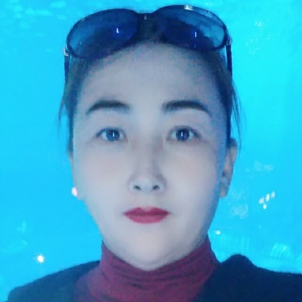 调皮刺猬的照片