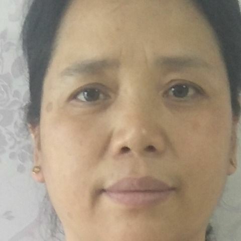 红牛拿苗条的照片