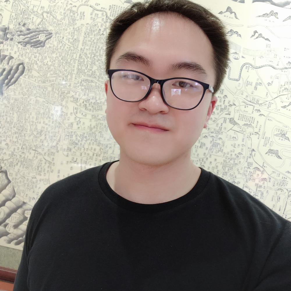 小鸽子传统的照片