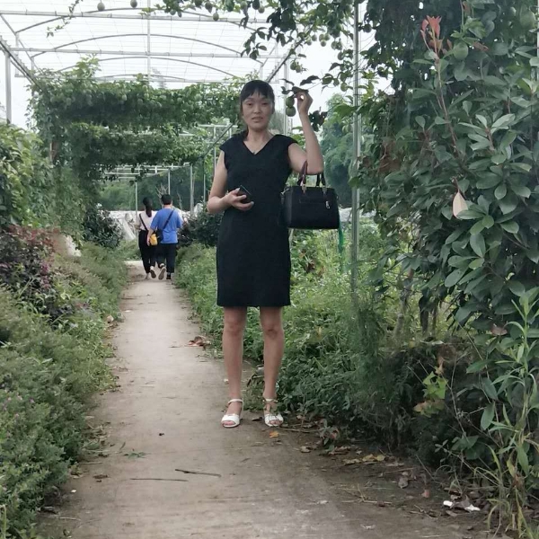 大米秀丽雨的照片