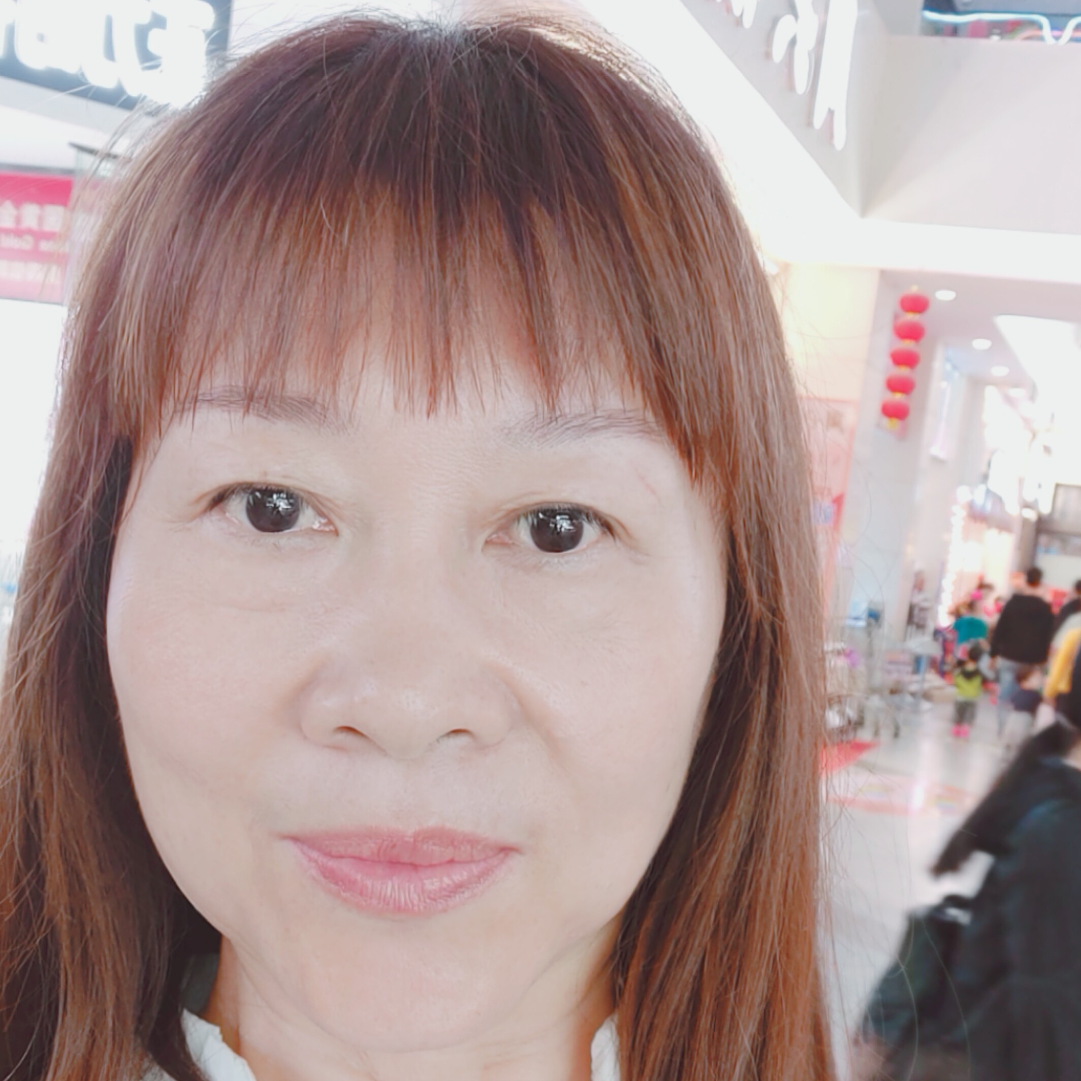 专注给含羞草的照片