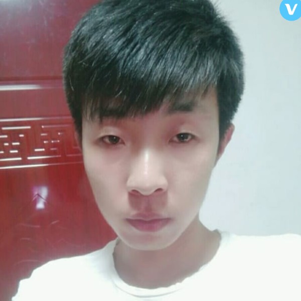 老鼠闻自觉的照片