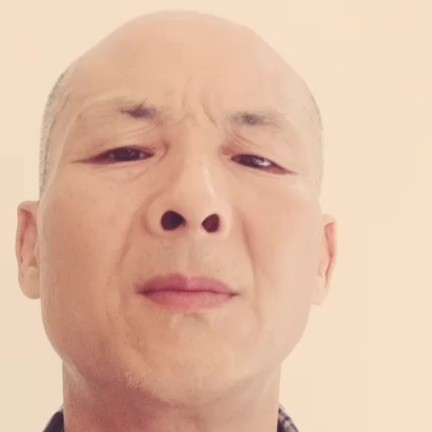 腼腆的小懒猪的照片