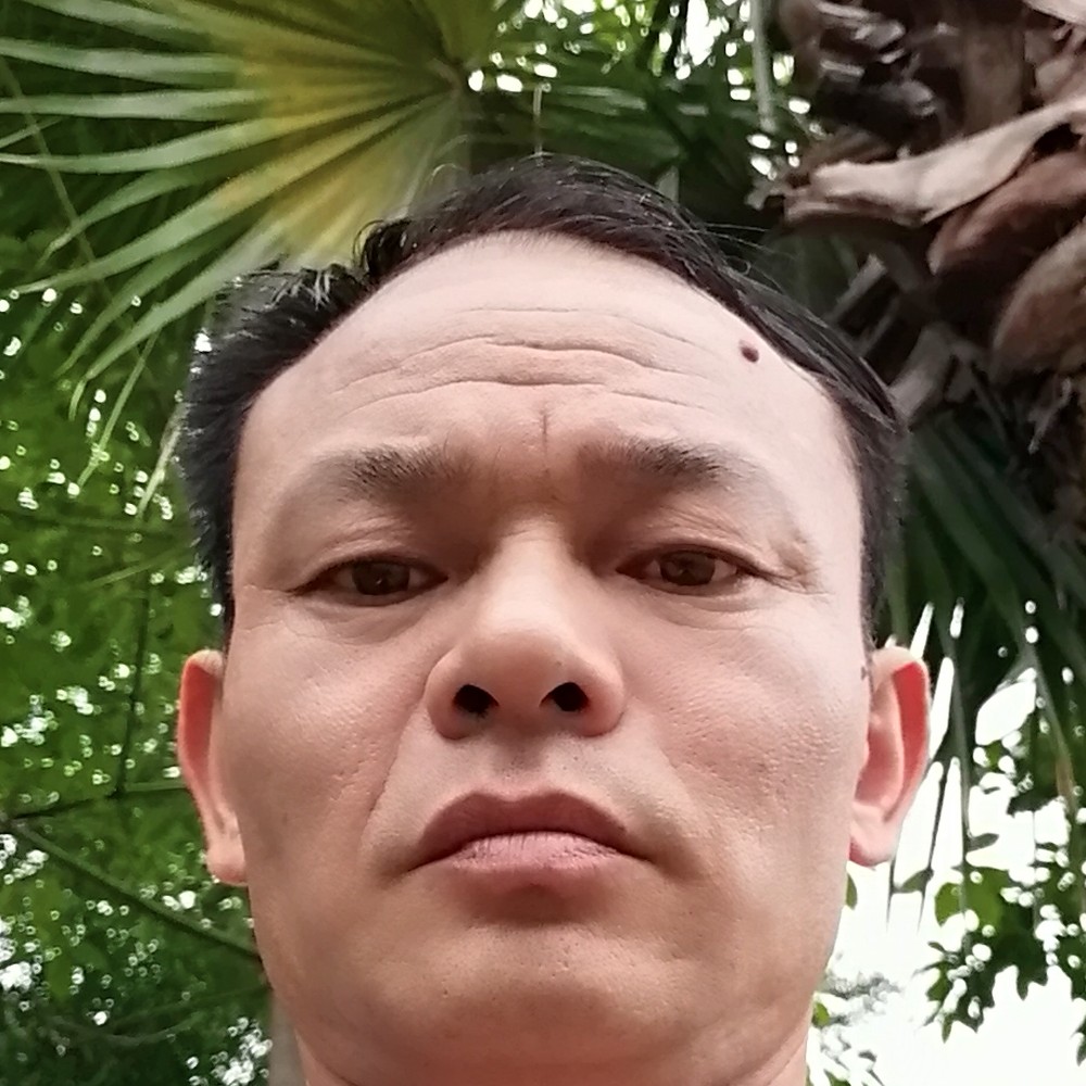 树叶深拥激情的照片
