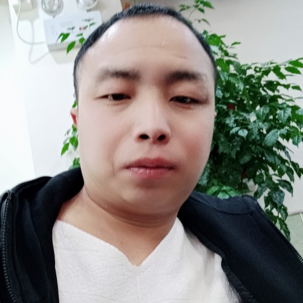 刀锋520的照片