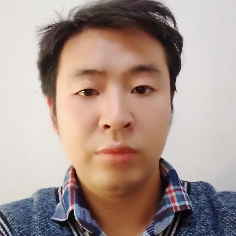 重要停止小鸽子的照片