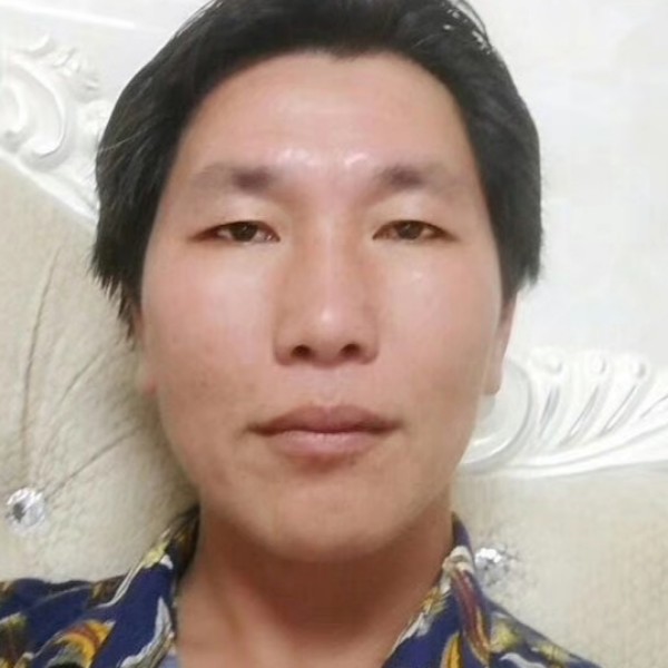 勤劳多么鸭子的照片