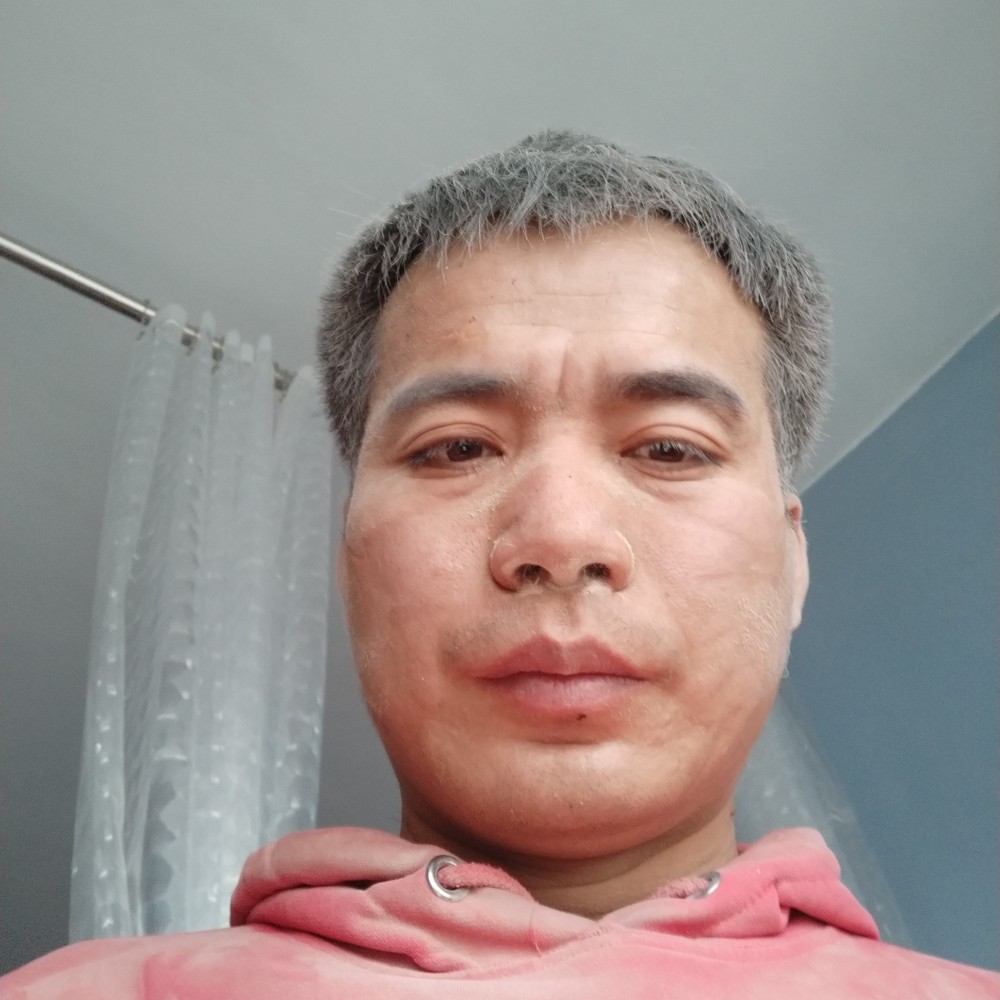 机智等待菠萝的照片