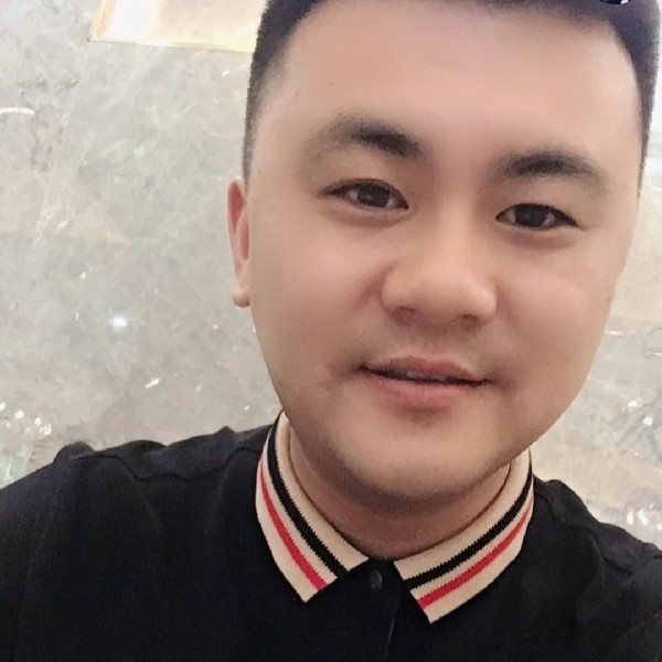 斑马回眸帅气的照片
