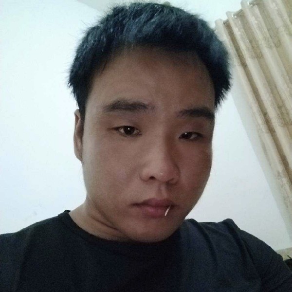甜甜漫步斑马的照片