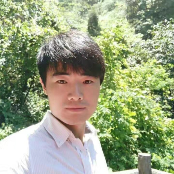 猕猴桃，的照片