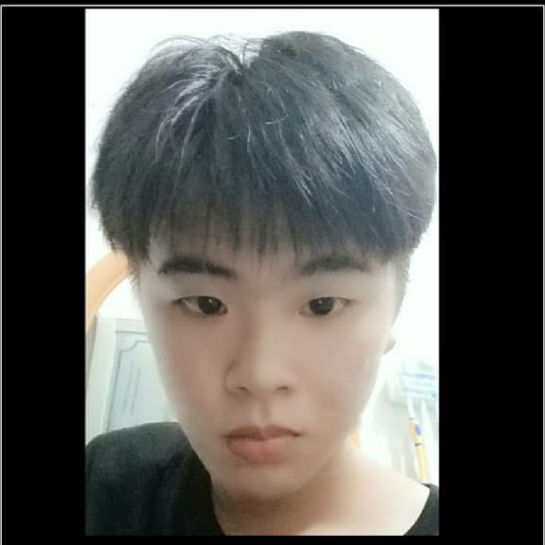 唯一的海燕的照片