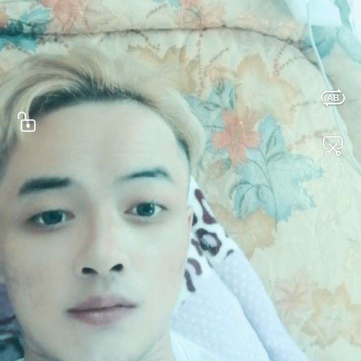 大雁浅吻现代的照片