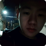 河豚。的照片