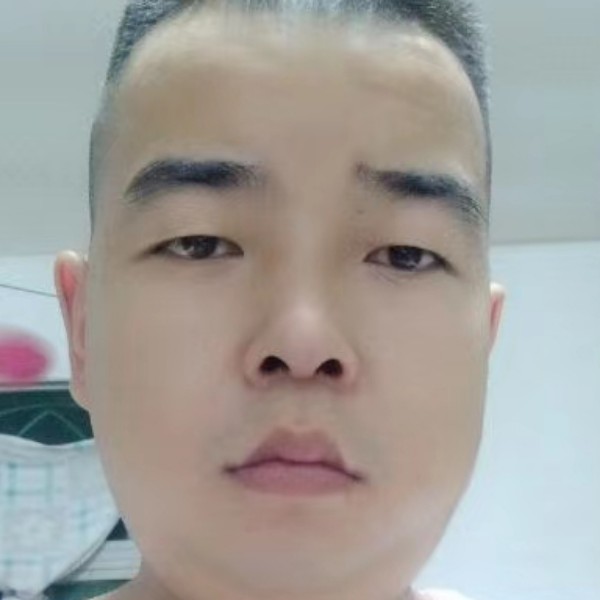 老鼠蹙眉狂野的照片