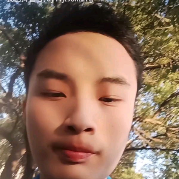 哈密瓜那有魅力的照片