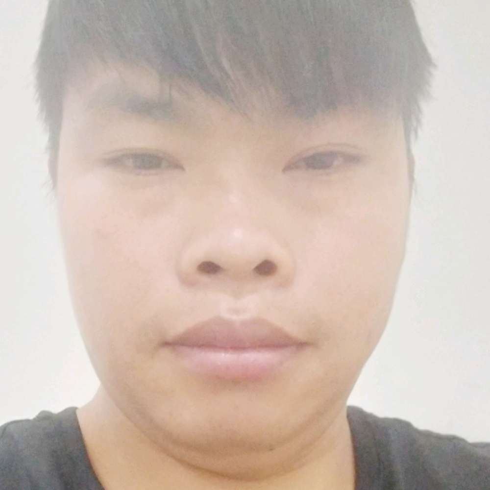 胡萝卜繁荣的照片