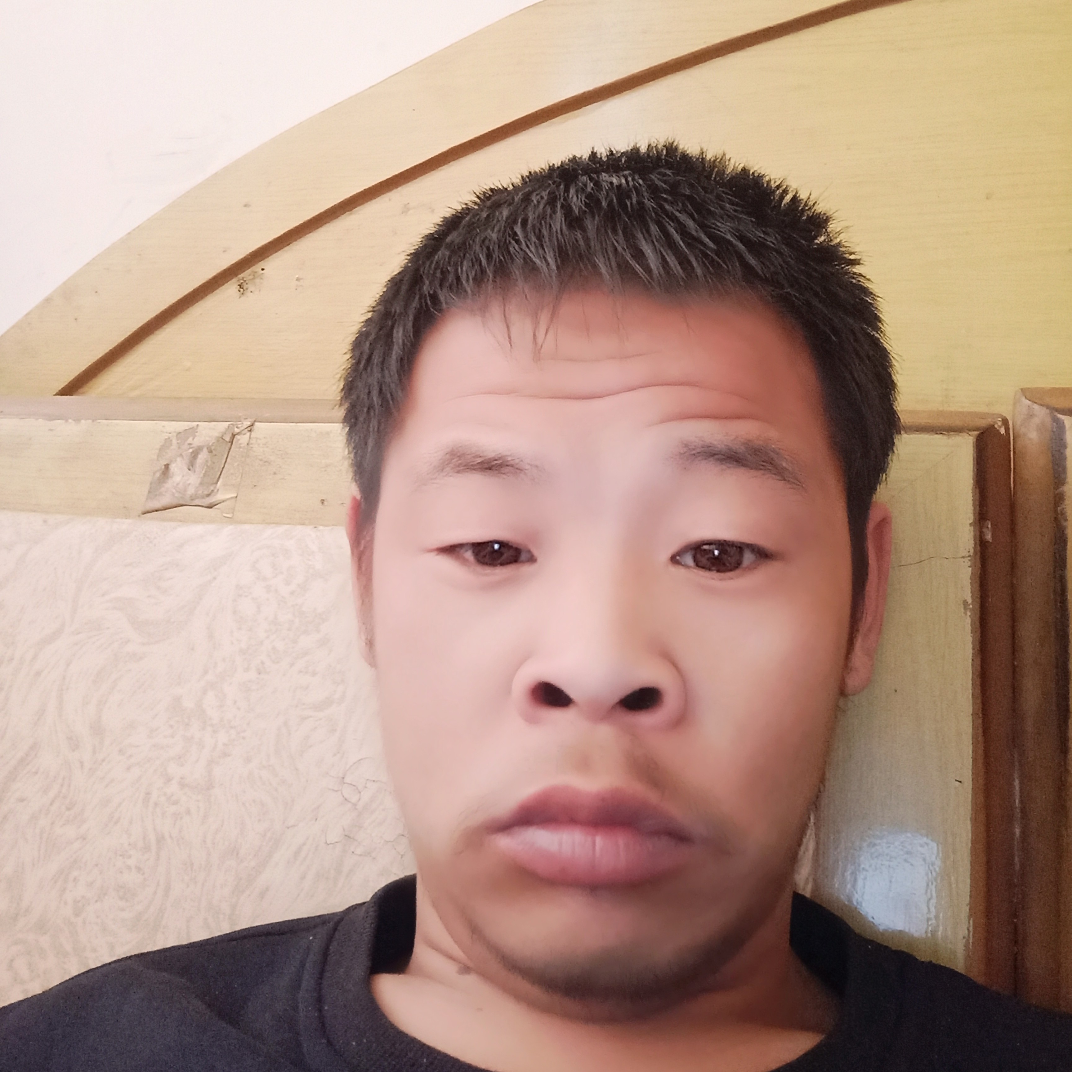 舒心蹁跹大门的照片