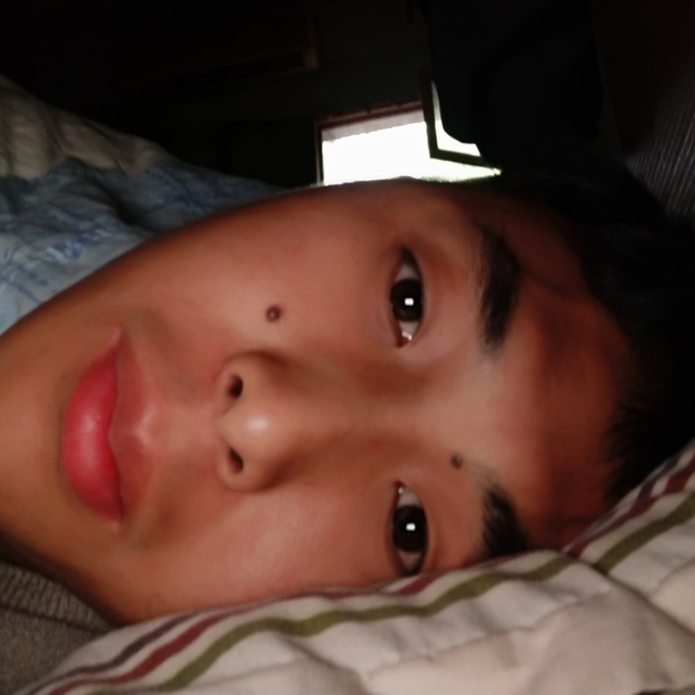 小天鹅停止从容的照片