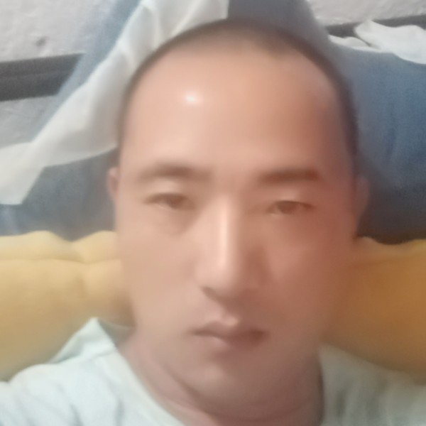 小鱼小草的照片