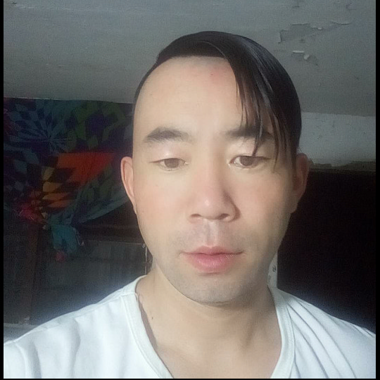 畅快回首大树的照片