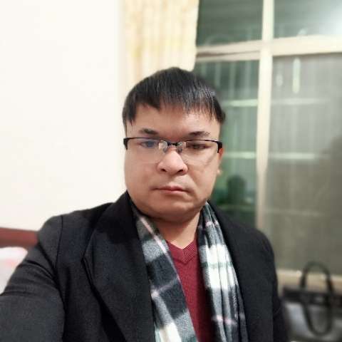 绿色清风的照片
