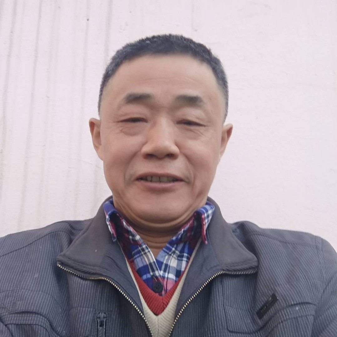 春天的早上的照片