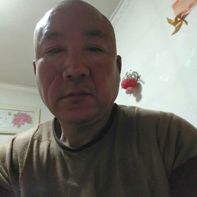 健康飞鸟的照片