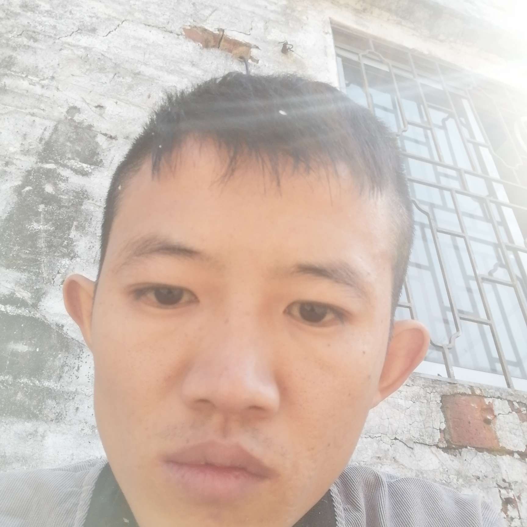 狐龙的照片