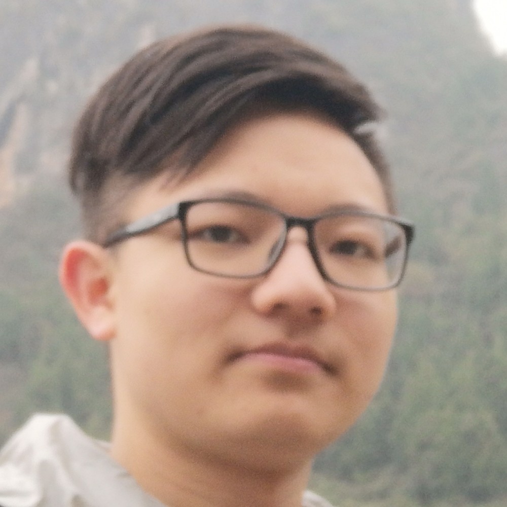 发夹坚强的照片