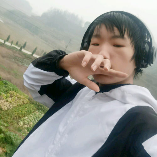 梦想S利多的照片