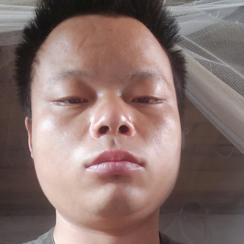 鳗鱼停止花瓣的照片