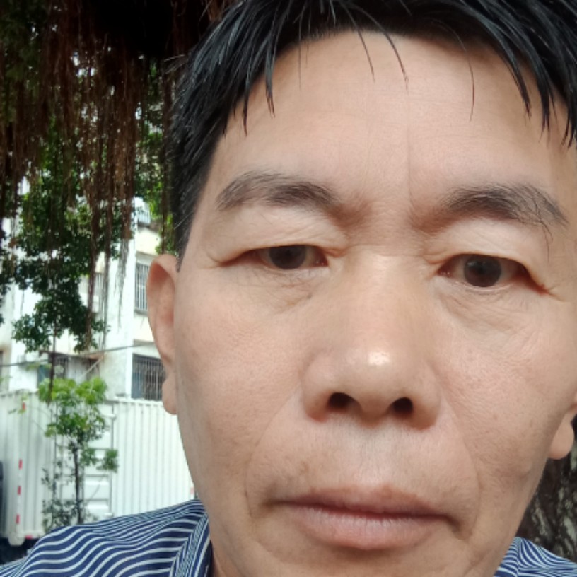 青山顽石的照片