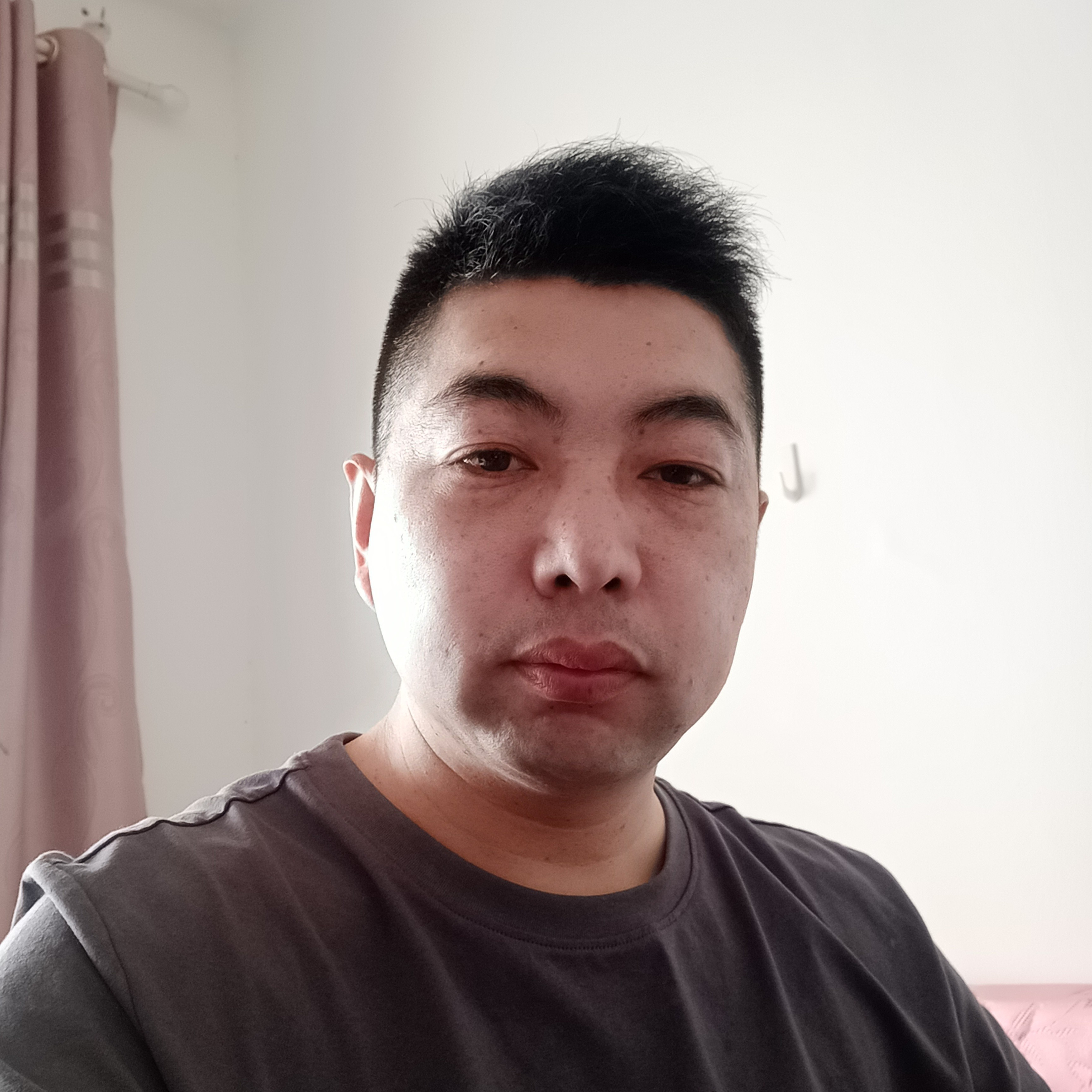 热心那含羞草的照片
