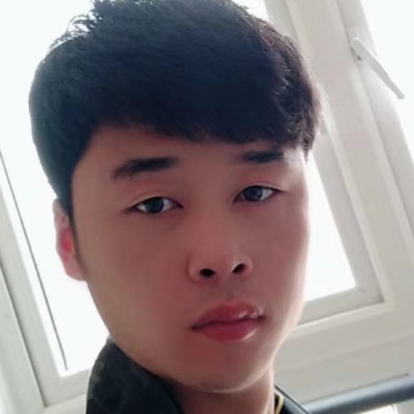 稳重停止鸵鸟的照片