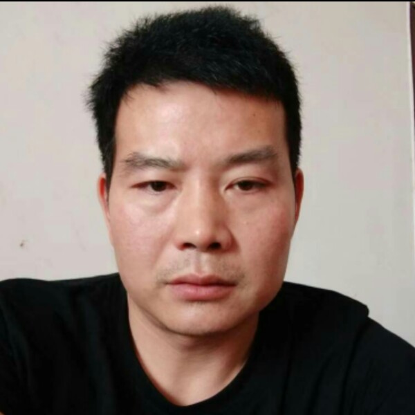 老鼠用壮观的照片