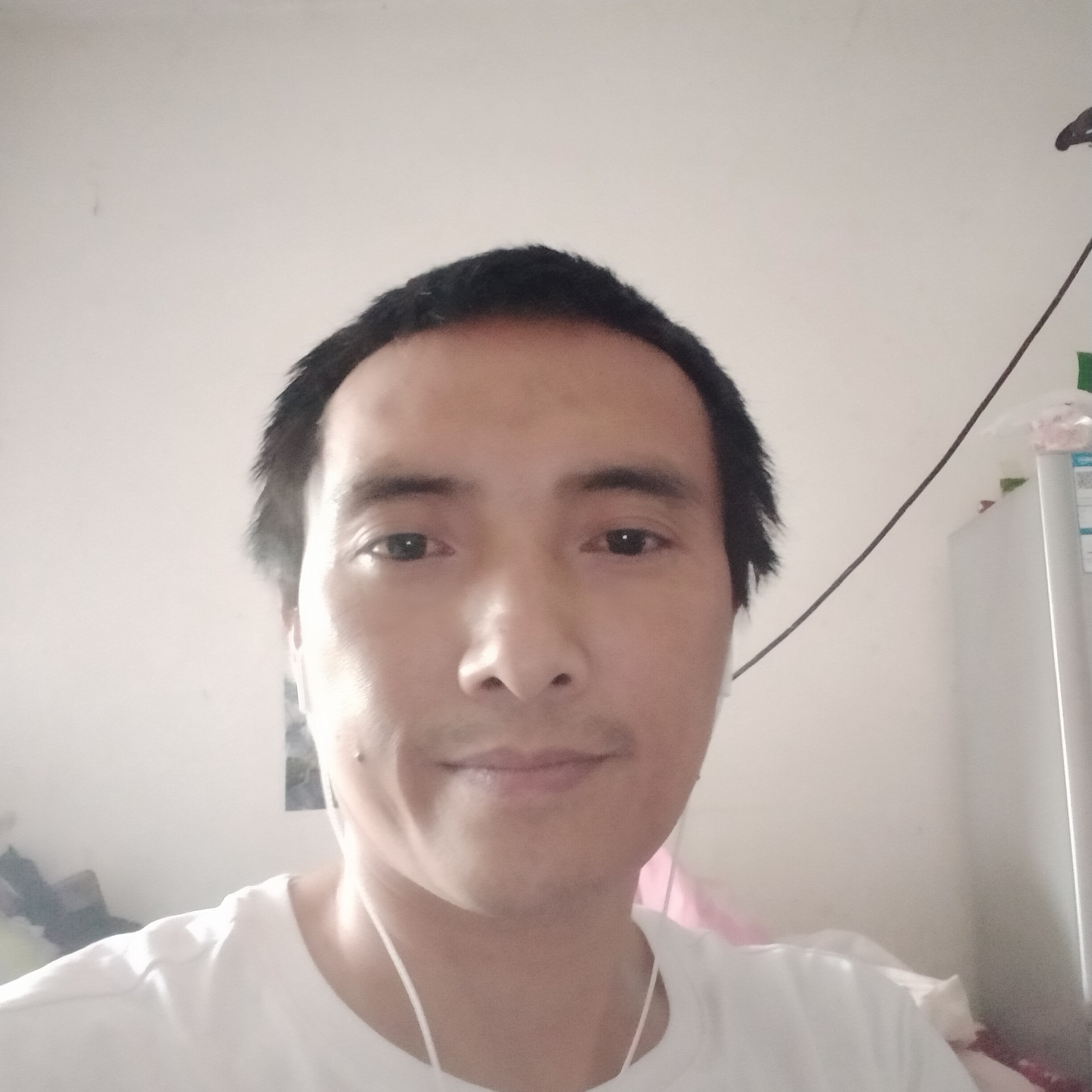 淡然爱月饼的照片