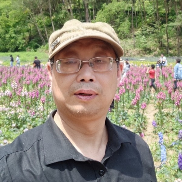 百灵的温柔的照片
