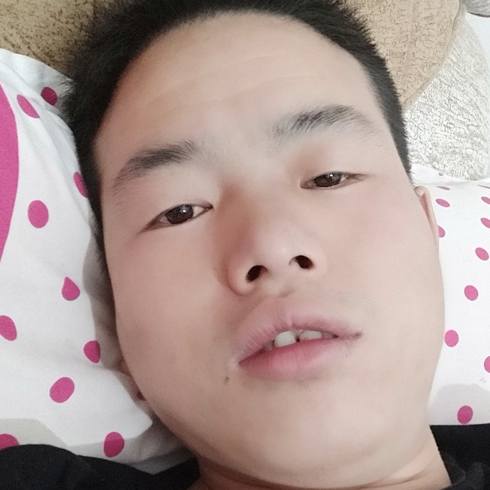 明亮说玫瑰的照片