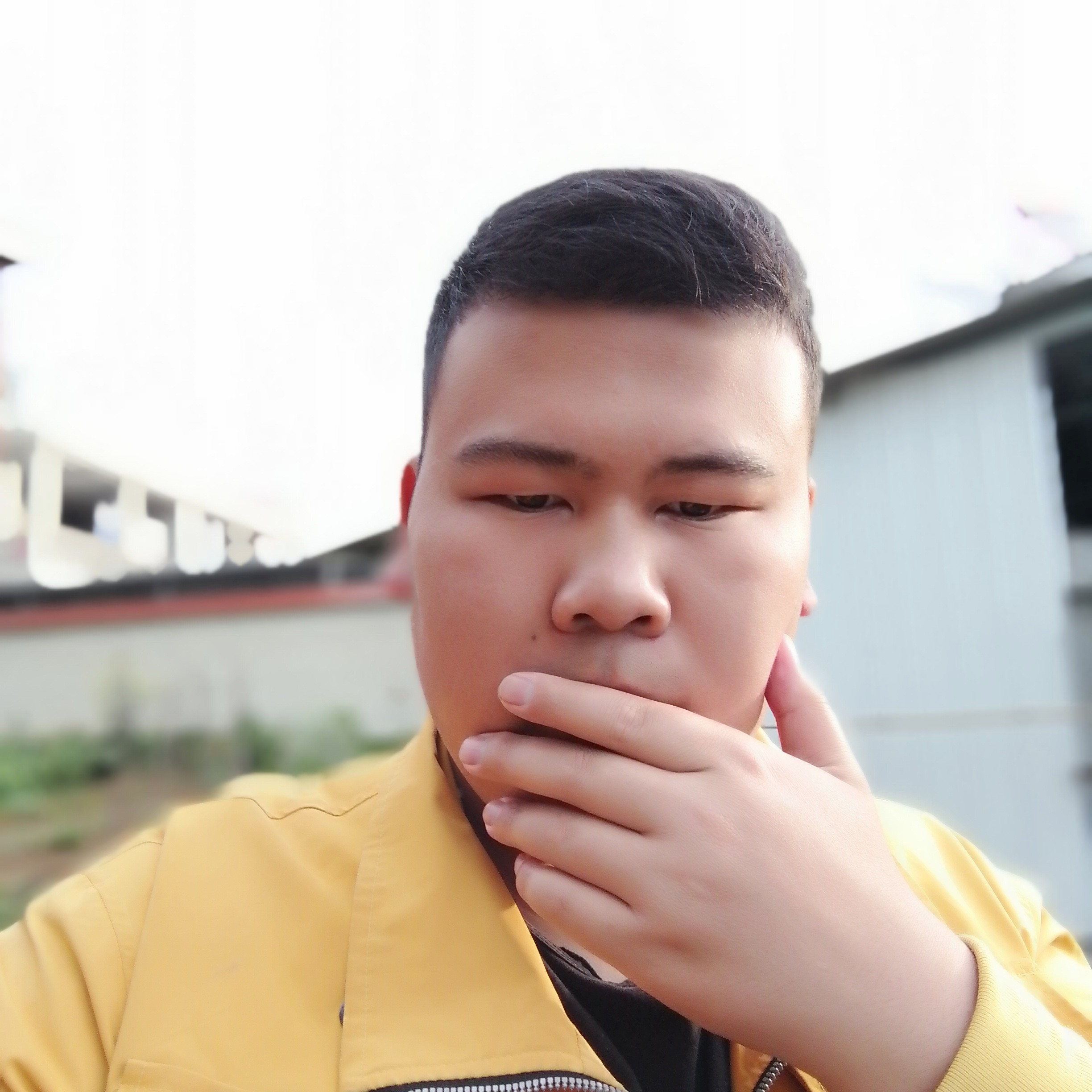 康乃馨浅吻迷离的照片
