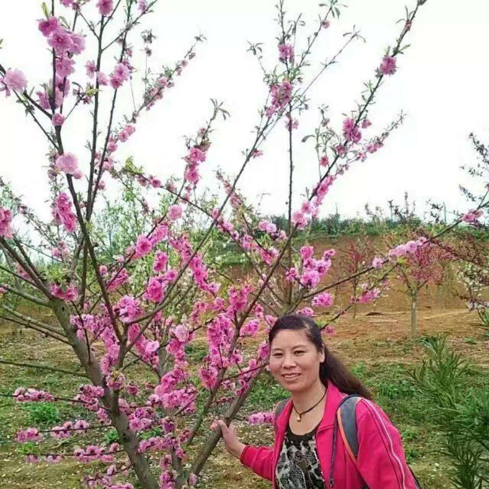 巧克力咖啡豆的照片