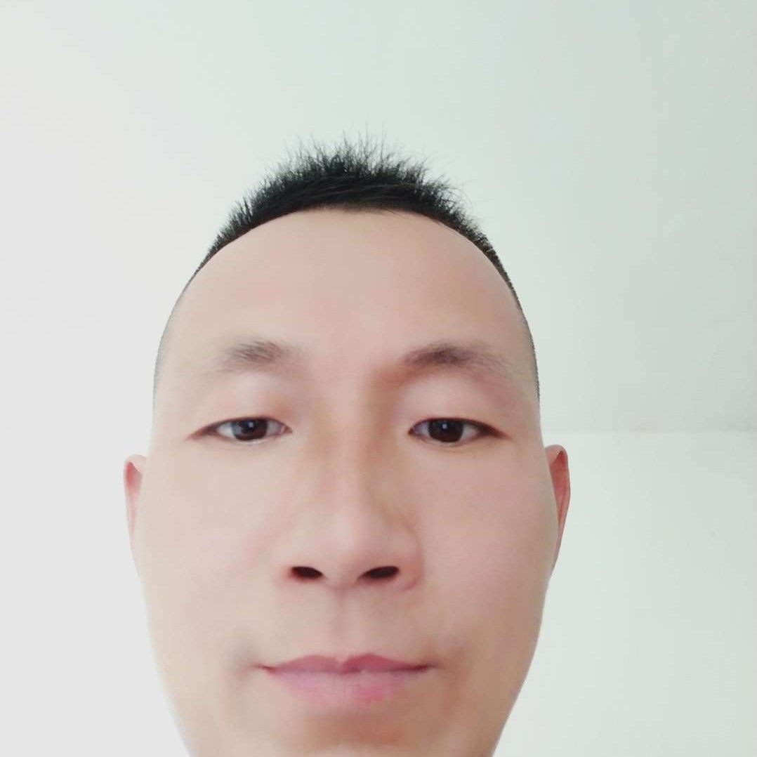迷路倾心枫叶的照片
