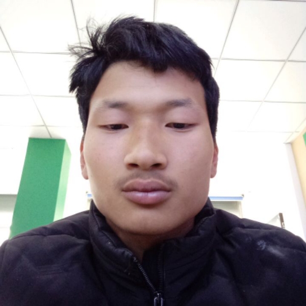 懦弱向小白菜的照片